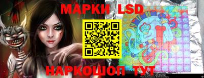 jwh Шебекино