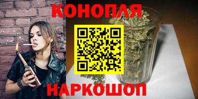 jwh Шебекино