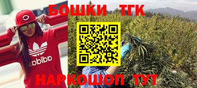 бошки Шелехов