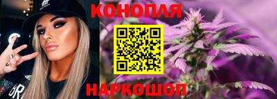 бошки Шелехов